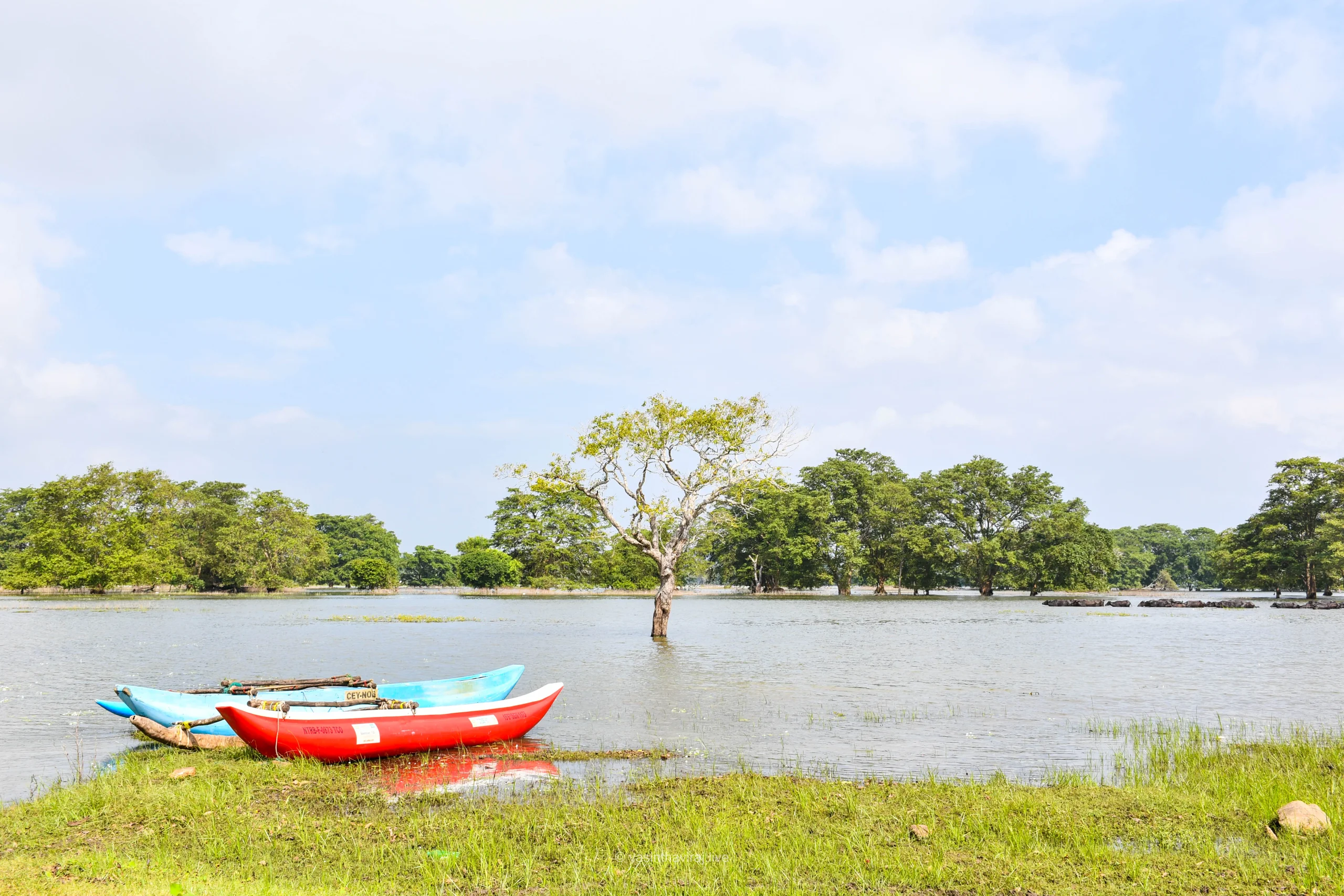 Scenic View of a Lake