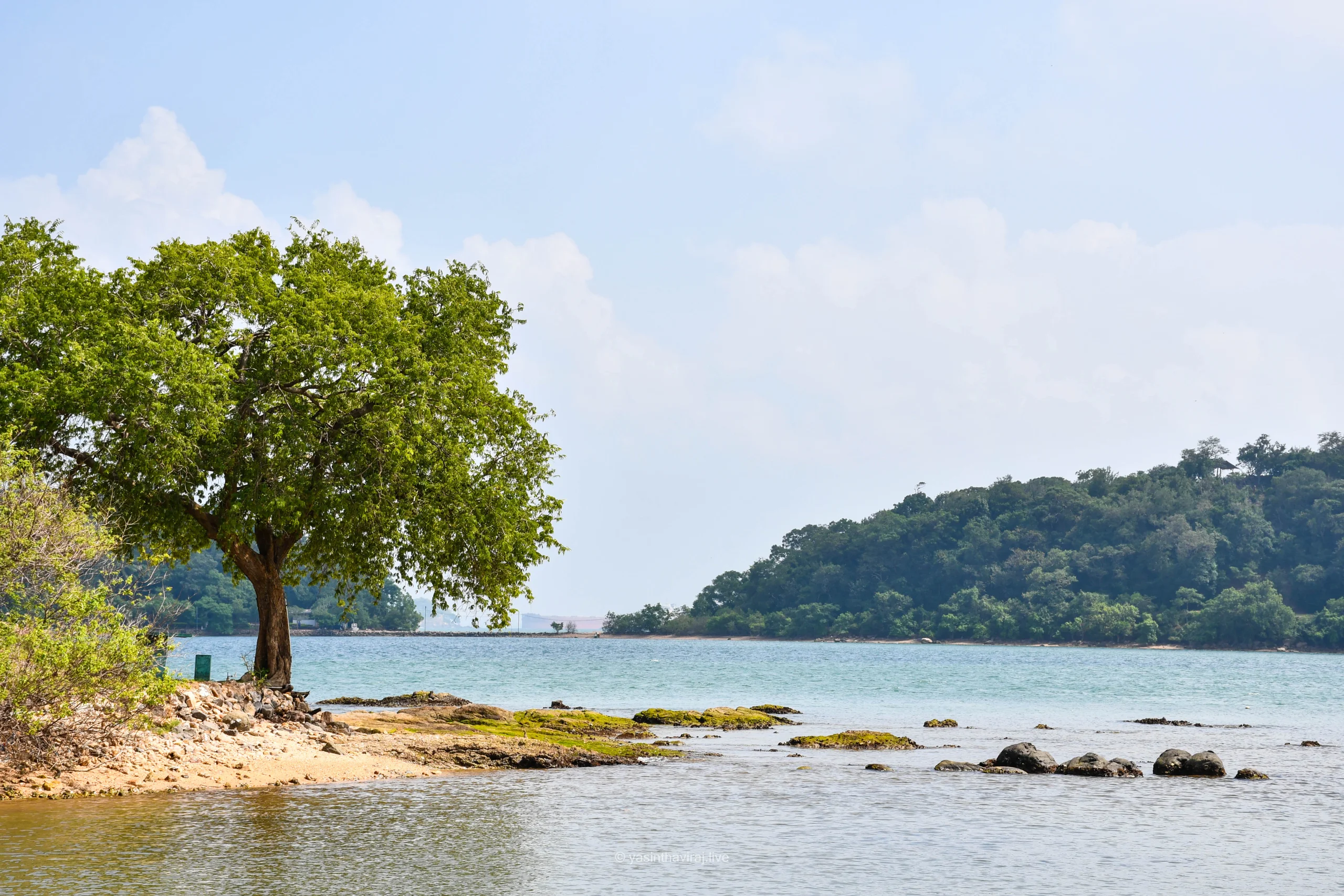 A scenic view from China bay